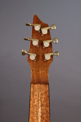 Used Breedlove Lapsteel Custom