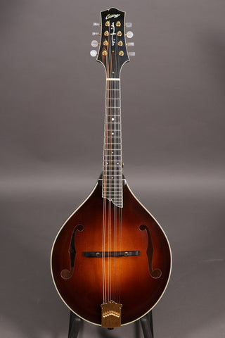 Used Collings MT2