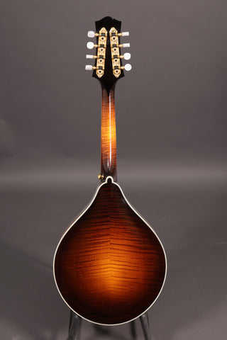 Used Collings MT2