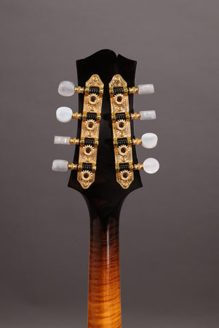 Used Collings MT2