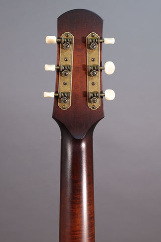 Used Iris MS-00 12-Fret Adirondack Spruce
