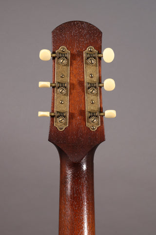Used Iris MS-00 12-fret