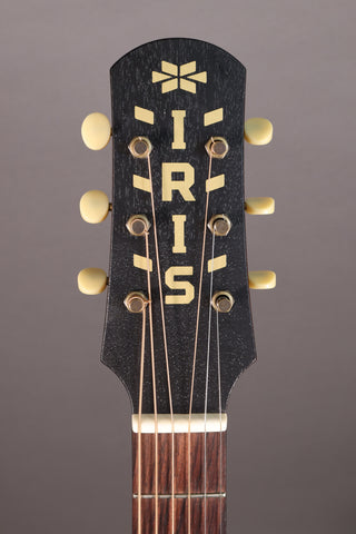 Used Iris MS-00 12-fret