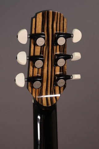 Used McAlister Concert Model