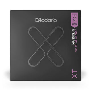 D'Addario XTM11540 Mandolin Set
