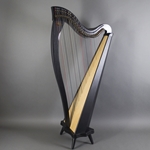 Dusty Strings Boulevard Classic 34