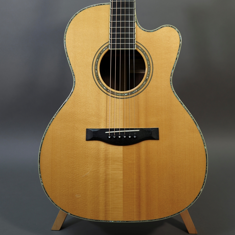 Used Santa Cruz H A/E Brazilian