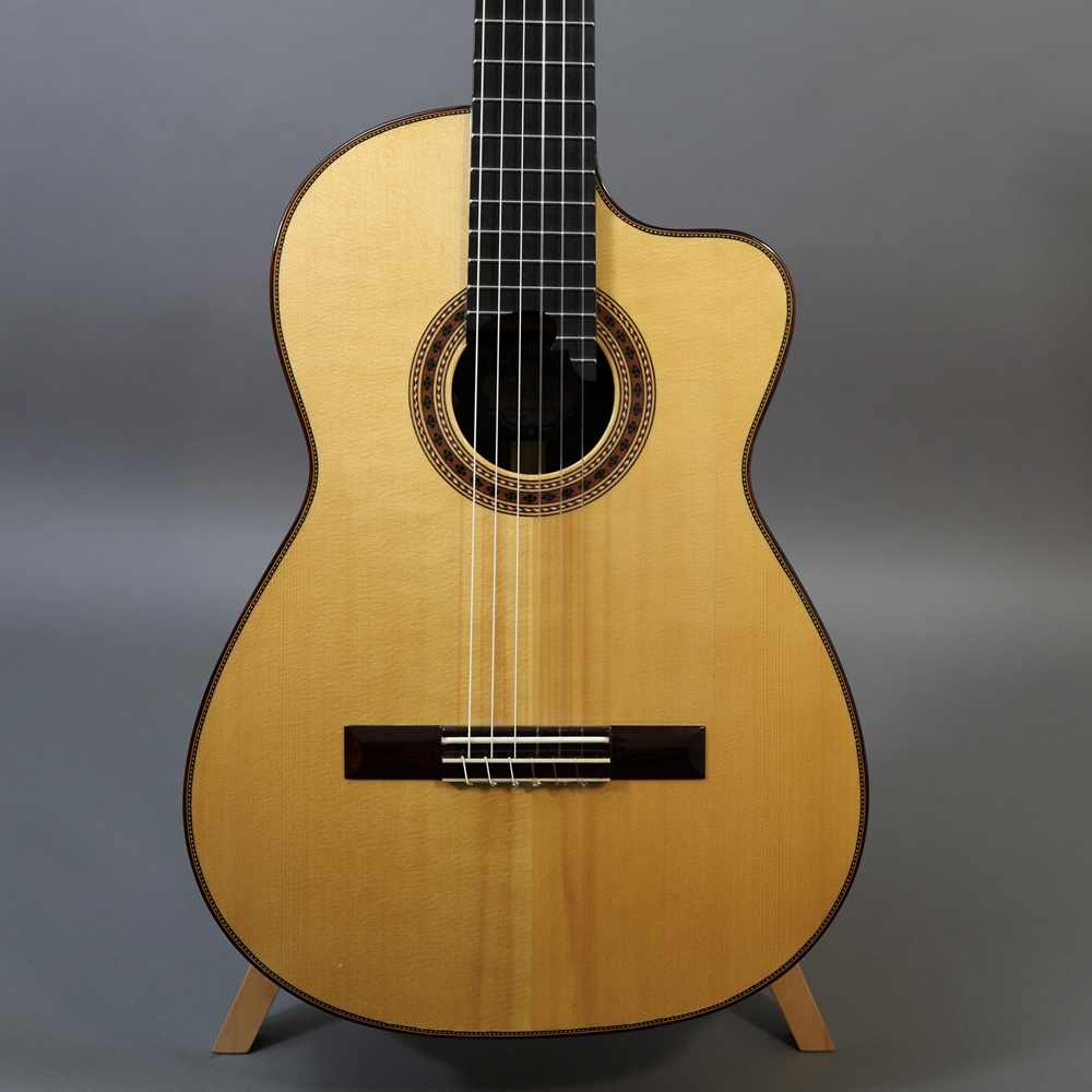 Used Cervantes Avant Guard II