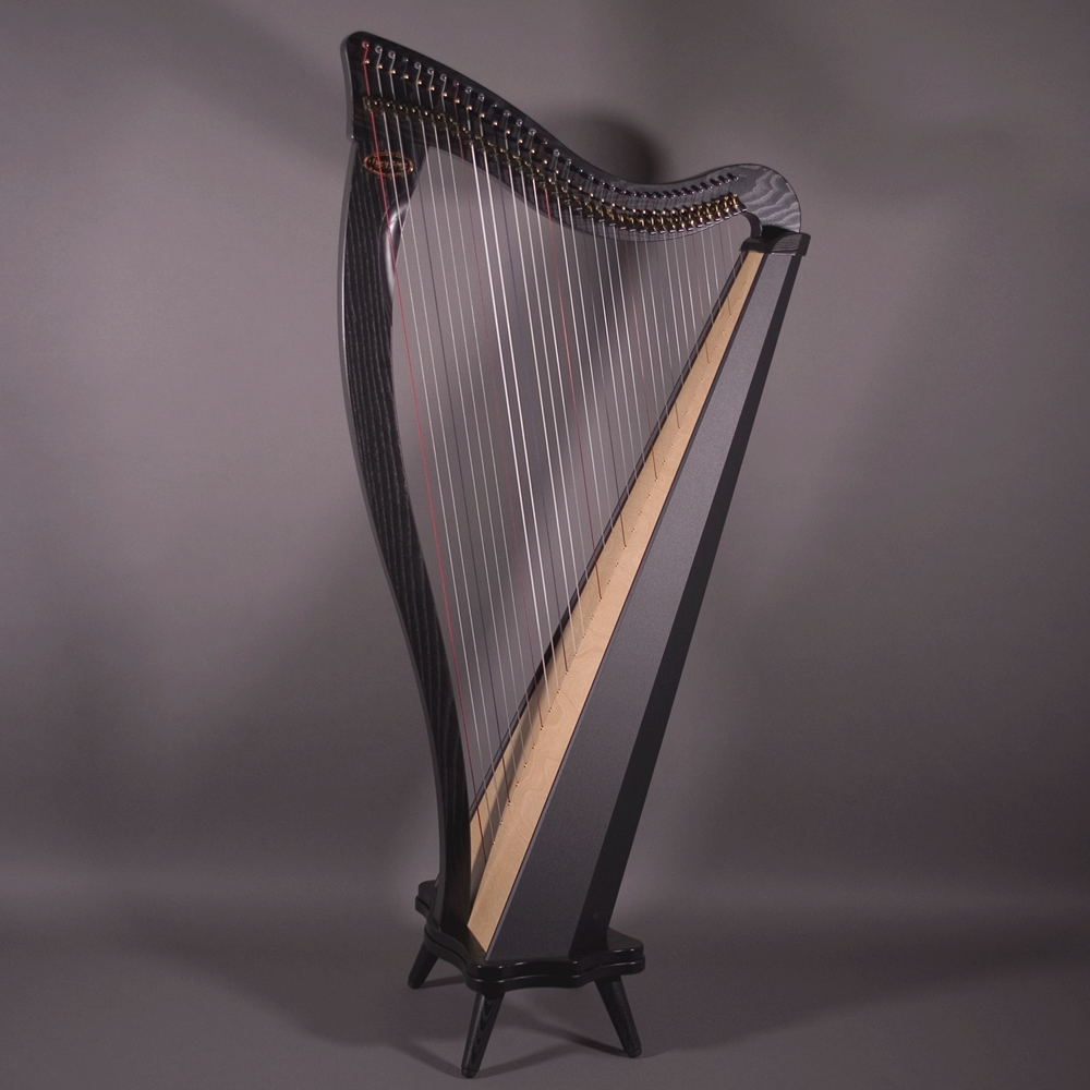 Dusty Strings Revenna 34 34弦ハープ ラベンナ Dusty Strings Revenna 34 34弦ハープ ラベンナ ラベンナ34