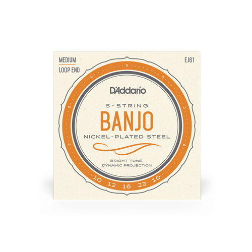 D'Addario EJ61 Medium Banjo Set