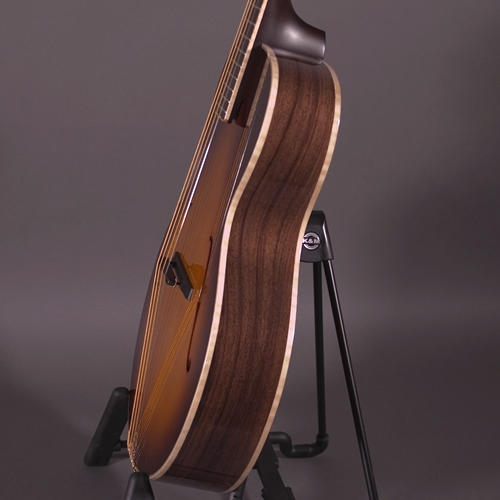 KR Strings Octolindo F Hole Artist – Fiddler's Green Music Shop