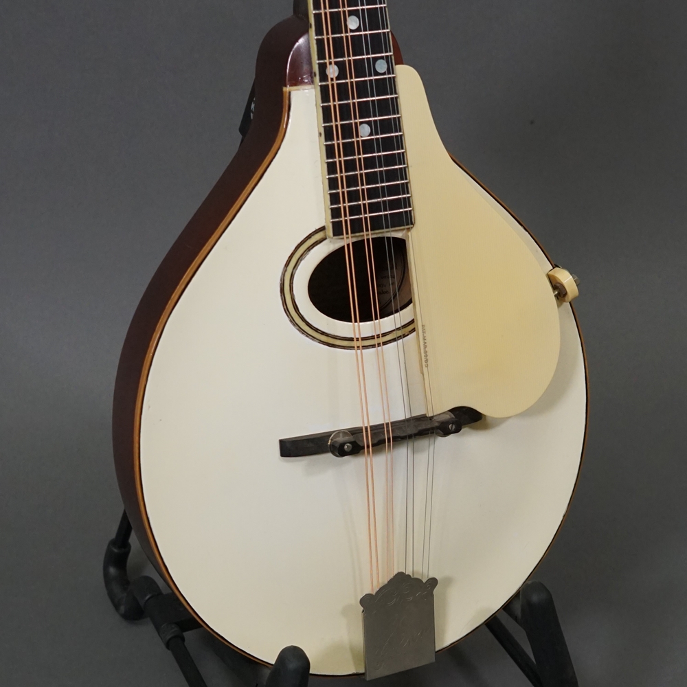 Used Gibson A-3 Mandolin
