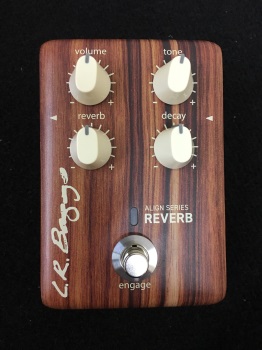 Dusty Strings - L.R. Baggs Align Series Reverb