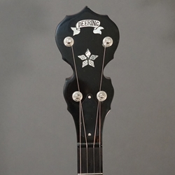 Deering black store diamond banjo